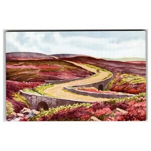 Ellerbeck Goathland Moors Winding Road Heather Sheep UK Postcard